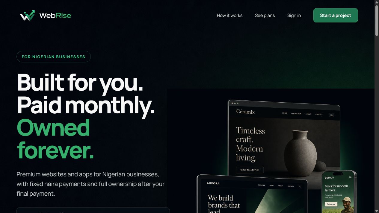 WebRise Nigeria product interface